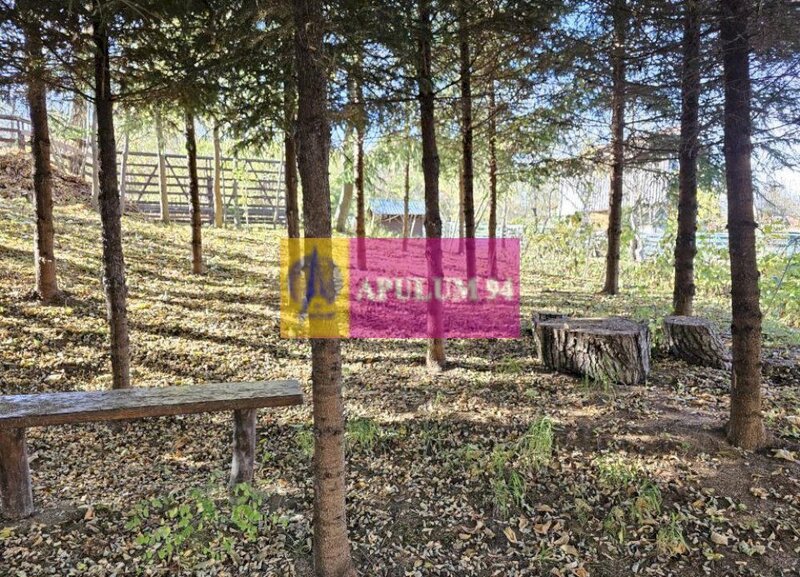 Casa de vanzare in Provita de Jos